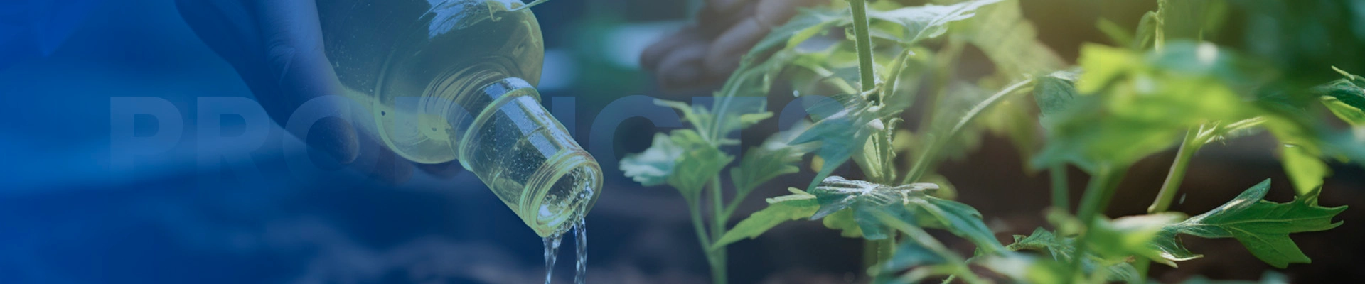 Textile Chemicals